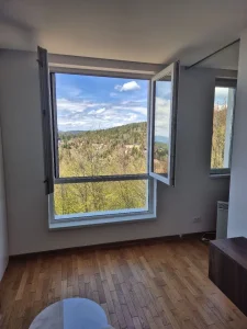 Treska Resort Kopaonik, Kopaonik, Sunčana dolina, 2.0 dvosoban, 33 m²