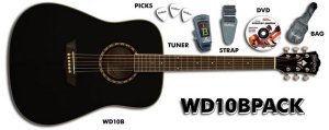 Washburn WD-10CEB Pack