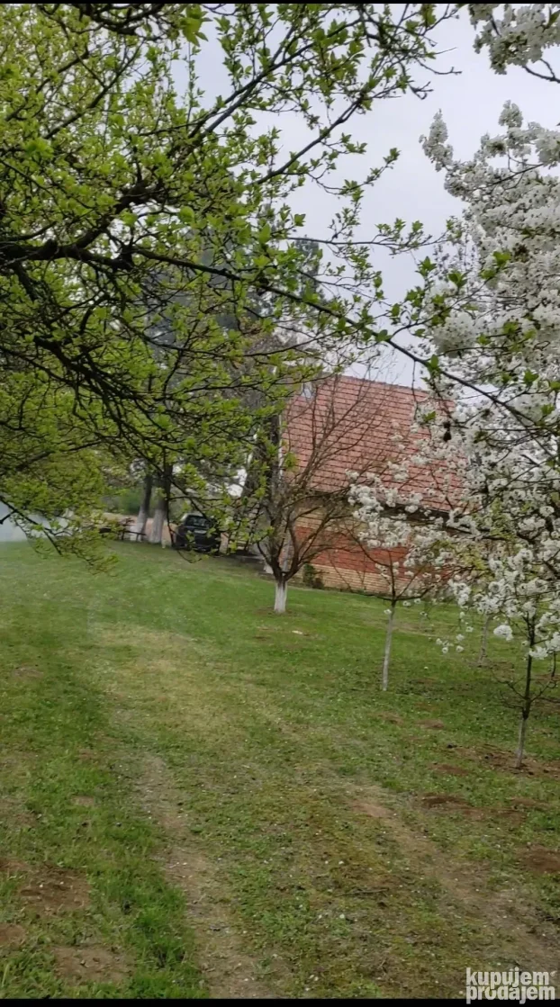 Vikendica,Fruska Gora