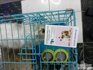 Na prodaju mini miltezer