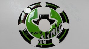 Zastita cepa Kawasaki Ninja zx-6r