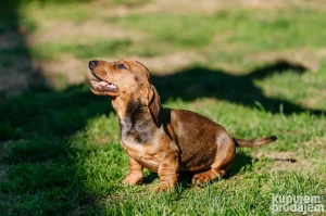 Dostupno stene top kombinacija