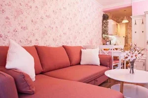 Vrnjacka Romasna - Pesacka zona