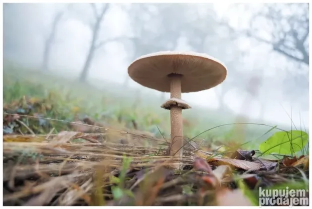 Minolta MD zoom 3,5/24-35mm