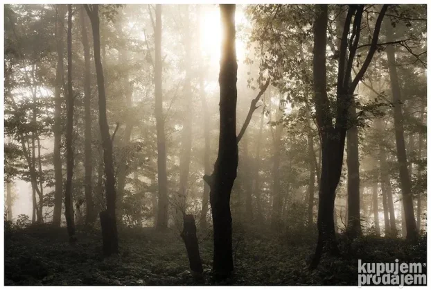 Minolta MD zoom 3,5/24-35mm