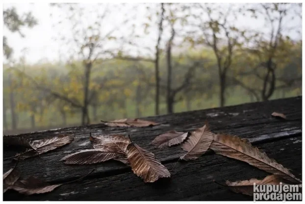 Minolta MD zoom 3,5/24-35mm