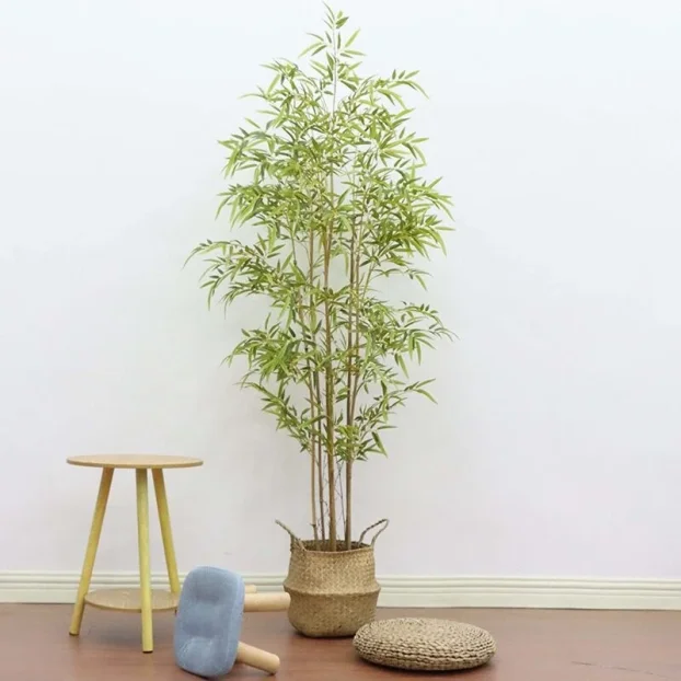 bambus aureosulcata spectabilis Phyllostachys aureosulcata 'Spectabilis' main image 1
