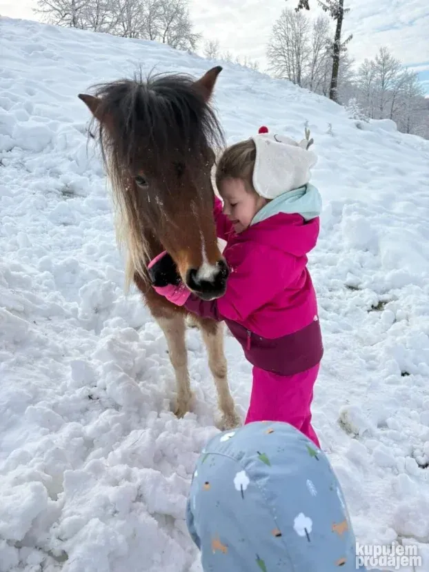 Vikendica Guča