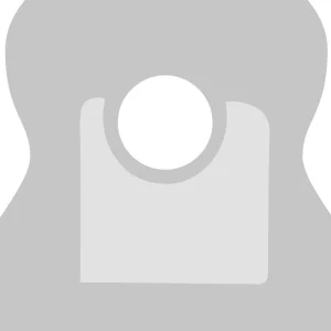 Alhambra Transparent Pick guard