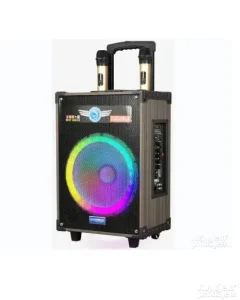 Zvučnik Bluetooth karaoke sa 2 bezicna mikrofona 12 inčaa