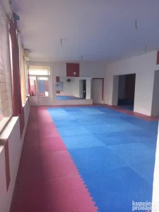 Izdajem termine u sali na Zvezdari