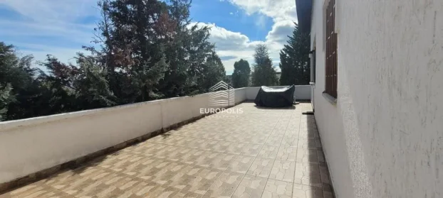 Diane Budisavljević, Dedinje, 5+ petosobna, 300 m²