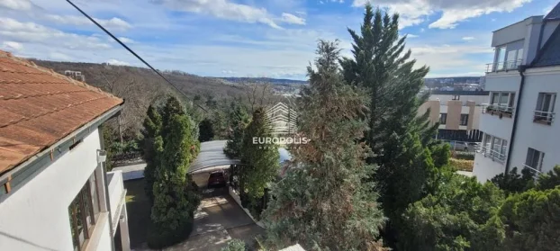 Diane Budisavljević, Dedinje, 5+ petosobna, 300 m²