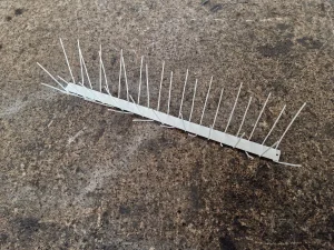 Zastita od ptica i golubova