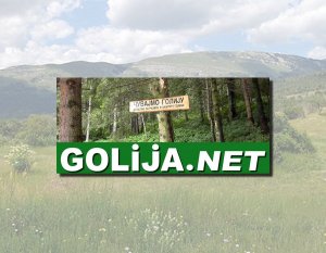 GOLIJA.net - domen na prodaju