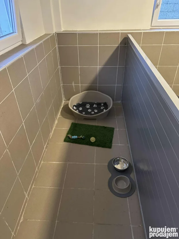 Unutrasnji pansion za pse