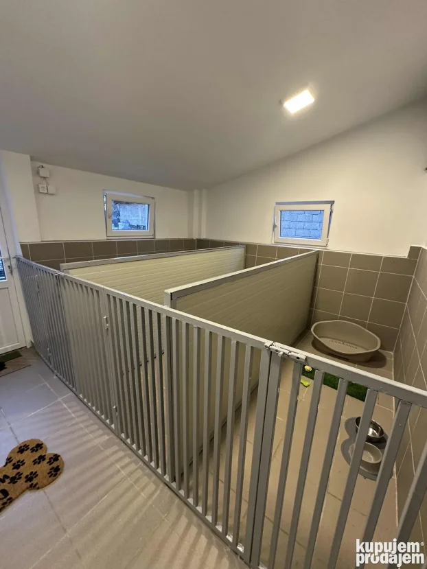 Unutrasnji pansion za pse