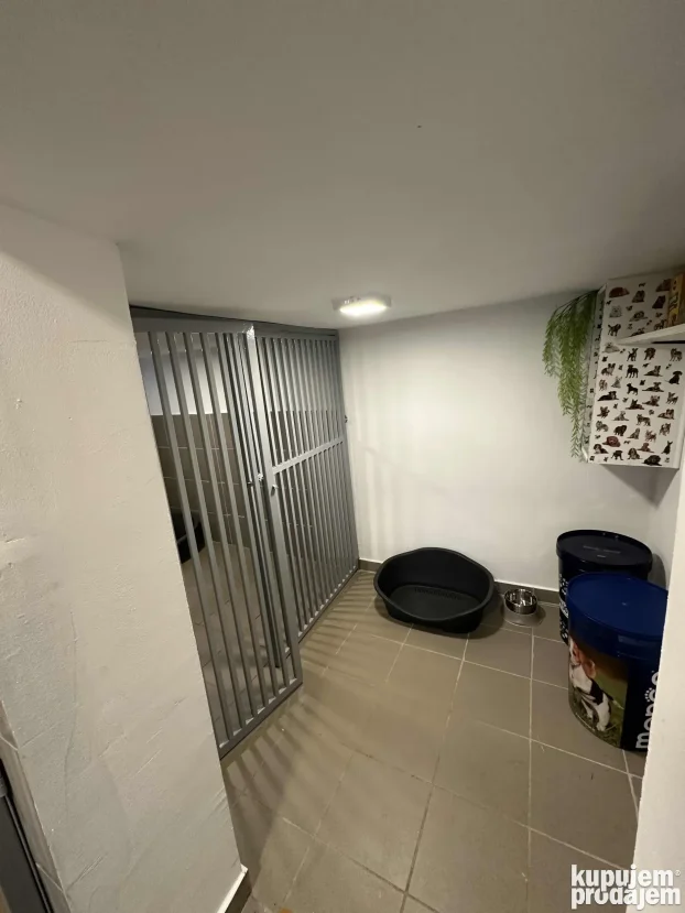 Unutrasnji pansion za pse