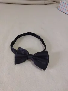 Leptir masna za decake