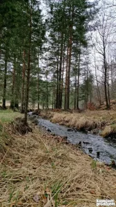 Placevi Kraljev sto Divcibare