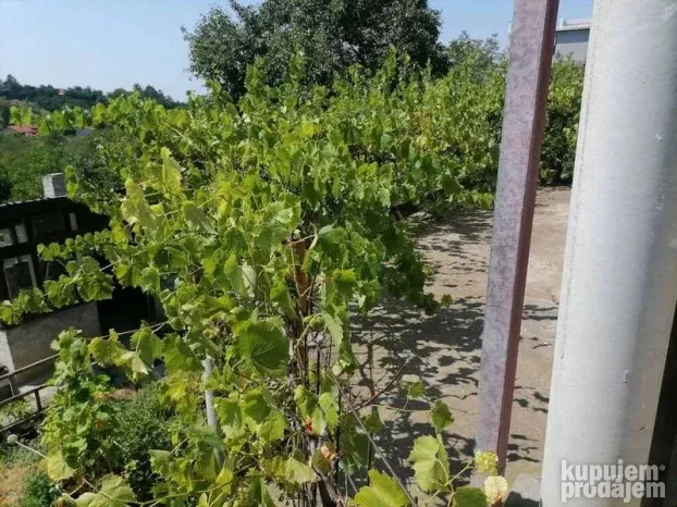 Vikend kuća, 151m2, Popovica