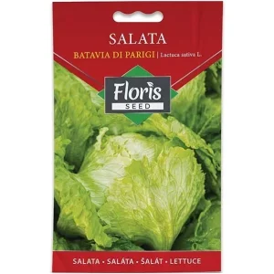 Salata Batavia Di Parigi seme 1.5g - 10kom. FLORIS