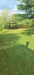 Košenje trave trimerom