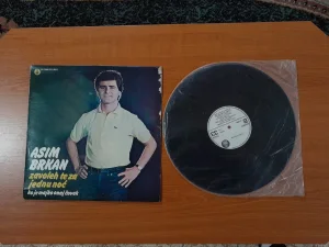 Asim Brkan - Zavoleh te za jednu noć