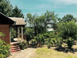 SRemski Karlovci, 61m2; š:531582