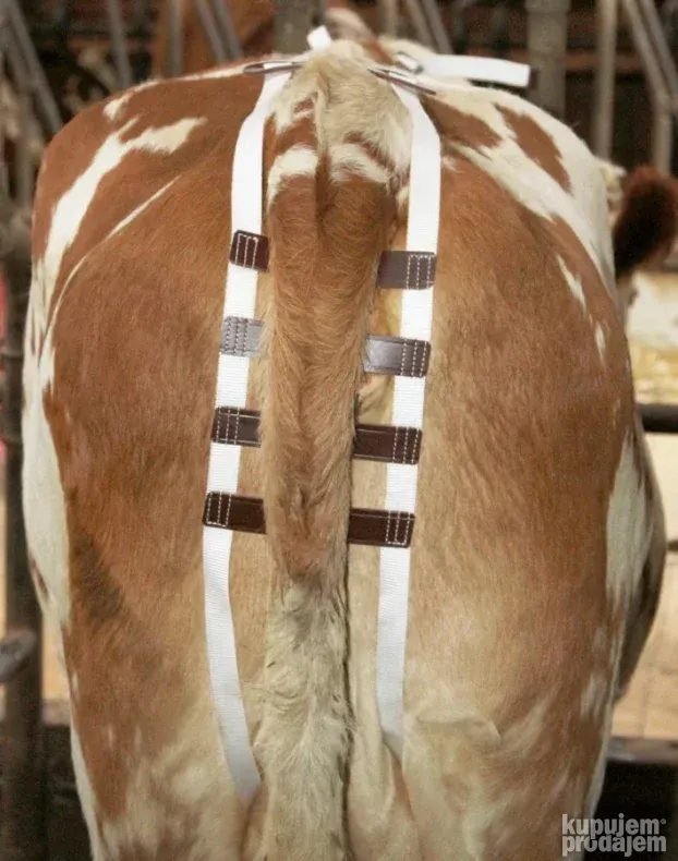 Pojas za prolaps Harness