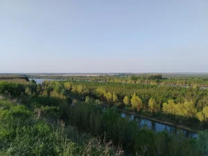 Poljoprivredno zemljište-plac
