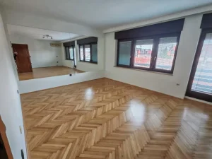 Bioskop Voždovac, 5+ petosobna, 360 m²