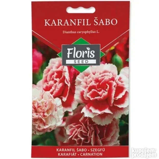 Cveće Karanfil Šabo seme 0.3g - 10kom. FLORIS