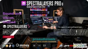 Steinberg SpectraLayers Pro 8 win/macOS