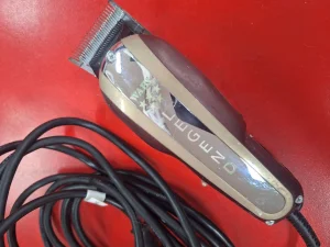 Masinica legend wahl