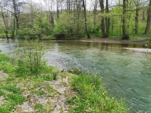 Apartman Quince Gradac