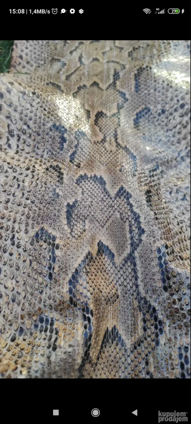 Piton koza duzina 3,90