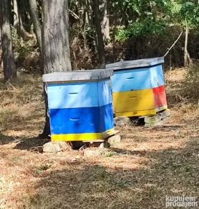 Pčele