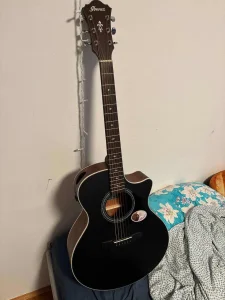 Ibanez AE140