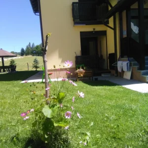 apartman na zlatiboru