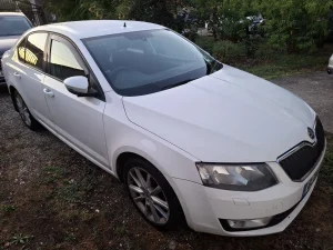 Delovi Skoda svi modeli u delovima