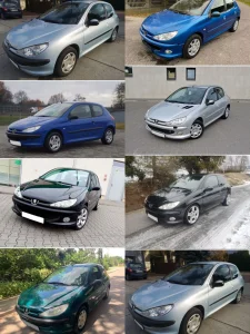 Centralna Brava PEUGEOT PEZO 206 Prednja Leva Desna