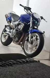 hornet 600