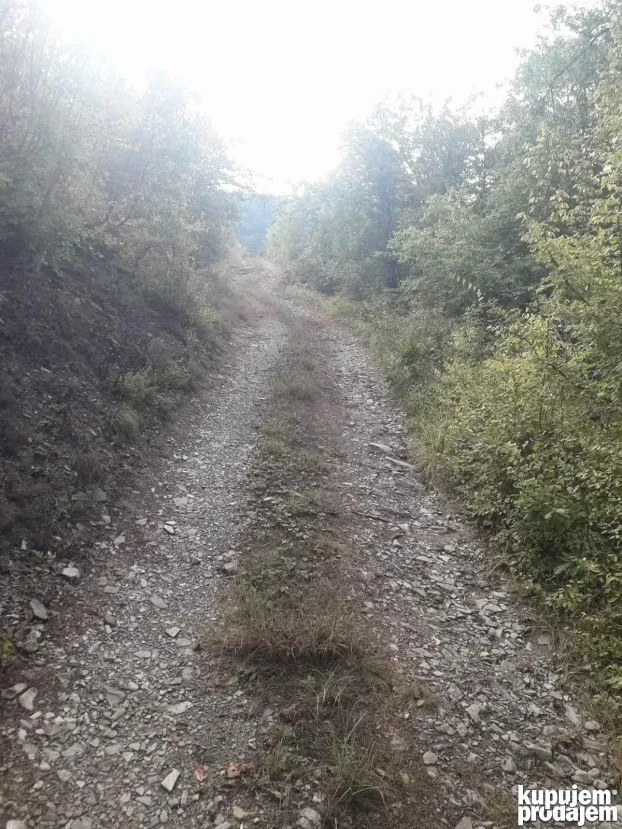 Leskovac, Okolno mesto