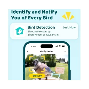 Birdfy intelligent bird feeder (ingyenes AI egy,kupi u dm