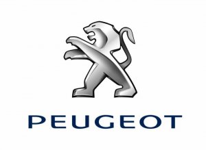 Peugeot 3008 (09-13) Staklo retrovizora