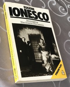 Rhinoceros the chairs-the lesson