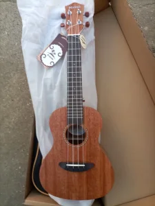 gitara za početnike novo