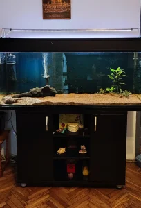 Akvarijum 325l