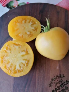 Rusko belo volovsko srce -seme